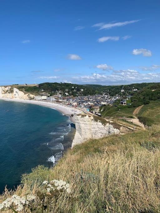 Les Falaises D'Albatre Heuqueville  エクステリア 写真